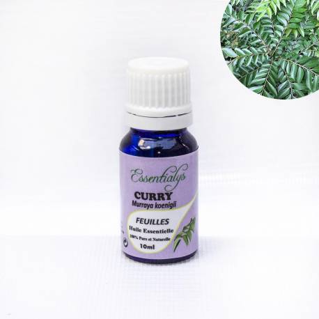 Curry feuilles  10 ml